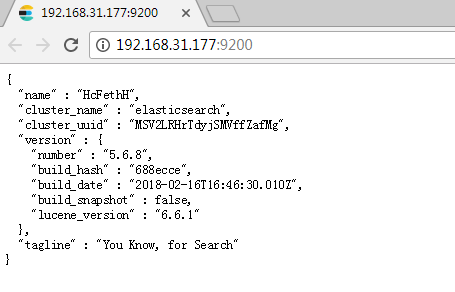 ES启动成功效果